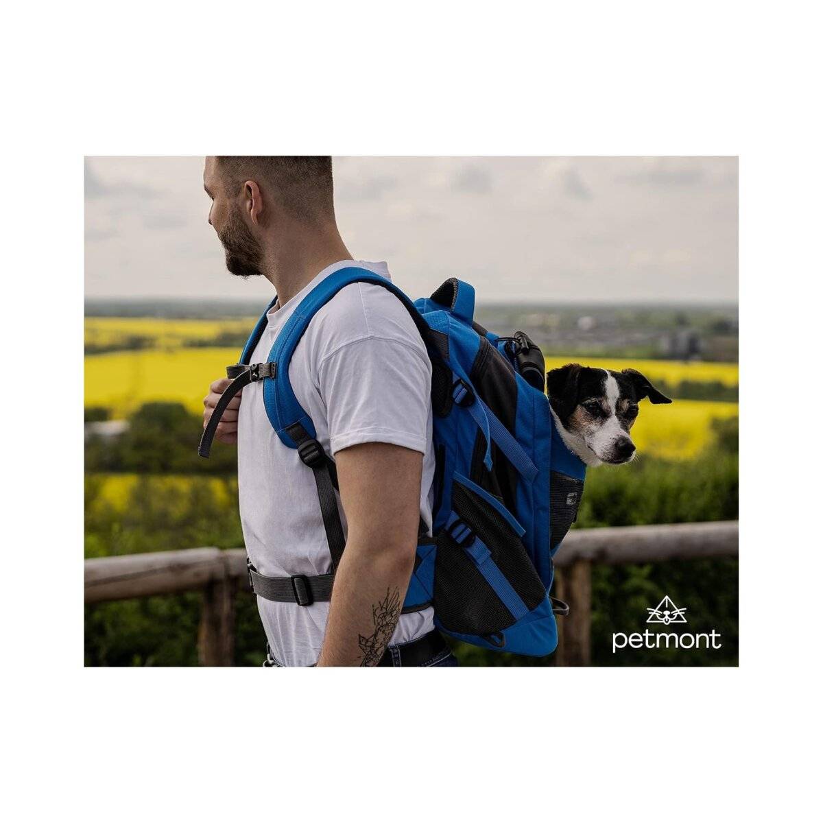Petmont Hunderucksack in Blau bis zu 8 kg Tragekraft - perfekt fürs Reisen und Wandern