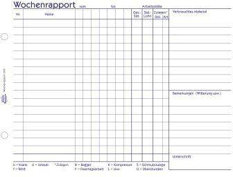Avery Zweckform Wochenbericht 1310 DIN A5 100Bl.
