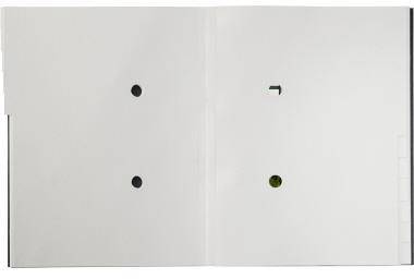 LEITZ 125134290 Leitz Ordnungsmappe Recyc le 39150095 A4 12Fächer s chwarz Umw