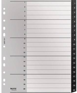 LEITZ 121018590 Leitz Register Recycle 12 110000 A4 1-20 schwarz Umweltfreund
