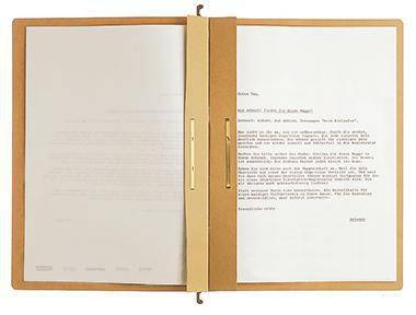 LEITZ 122034570 Leitz Hängehefter ALPHA 1 9870000 A4 225g Karton br 25 St./Pack.