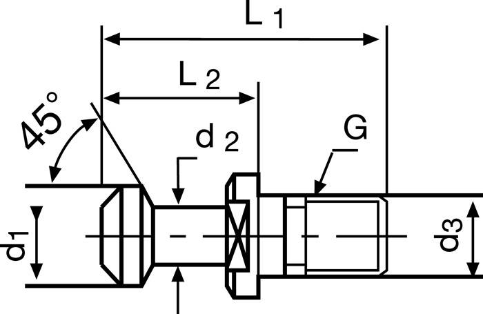 Anzugsbolzen JIS B 6339 BT40 m.Bohr.45 Grad TECWERK