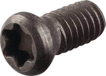 TECWERK 2000859110 Spannschraube US2506 Gr.T8 TECWERK 2000859110