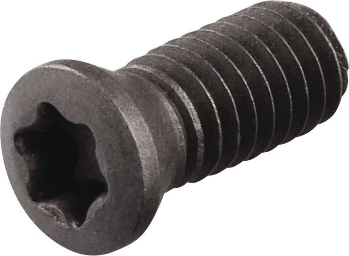 Spannschraube WS0620-S4 TECWERK