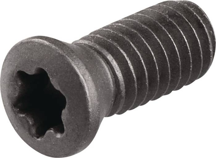 TECWERK 2480141079 Spannschraube WS0410 Gr.T15 TECWERK 2480141079