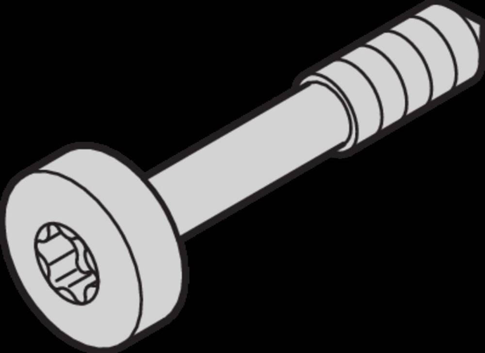 Schroff Halsschraube 21101782 (VE100)