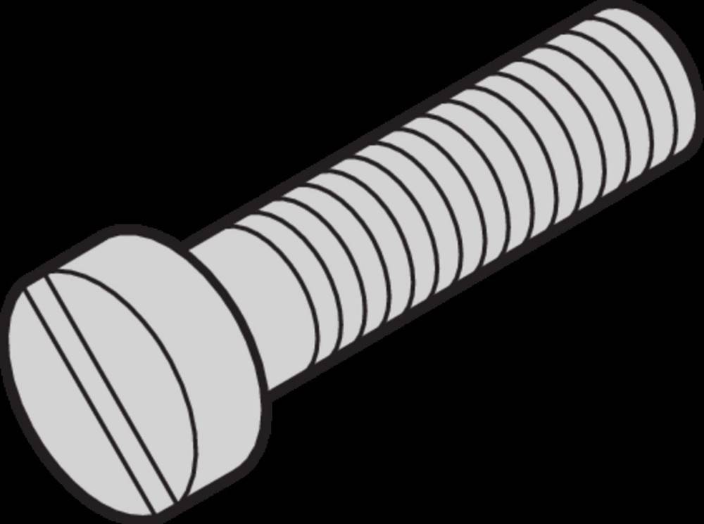 Schroff Schraube 21100150 (VE100)