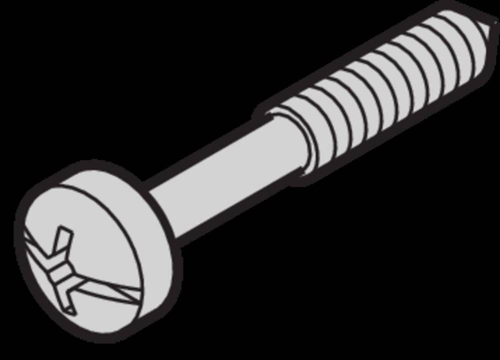 Schroff Schraube 21100500 (VE100)