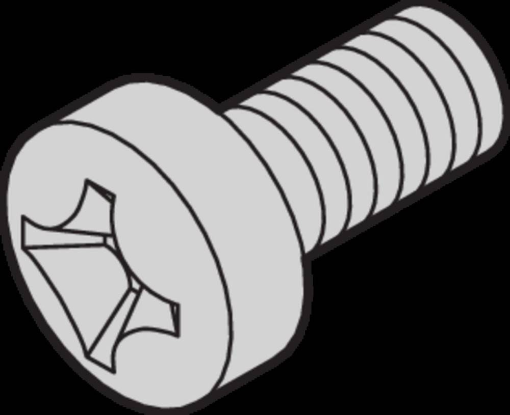 Schroff Linsenschraube 21101366 (VE100)