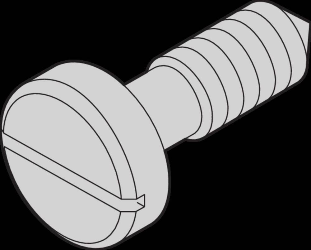 Schroff Halsschraube 21100565 (VE100)