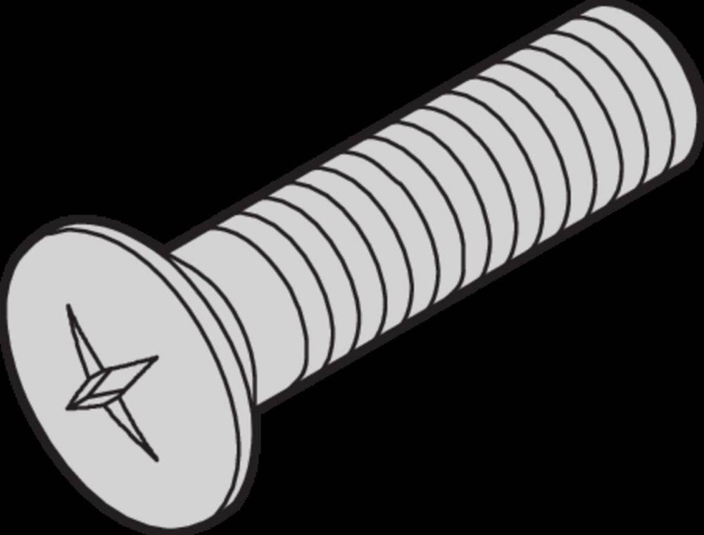 Schroff Linsensenkschraube 21100429 (VE100)