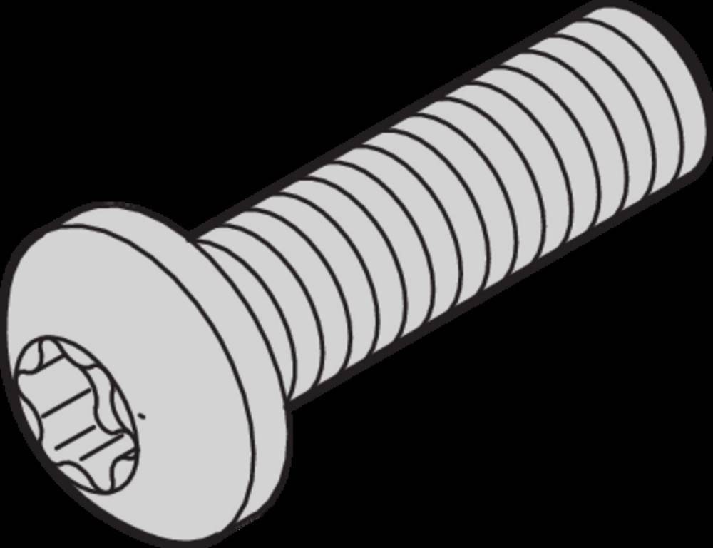 Schroff Schraube 24560130 (VE100)