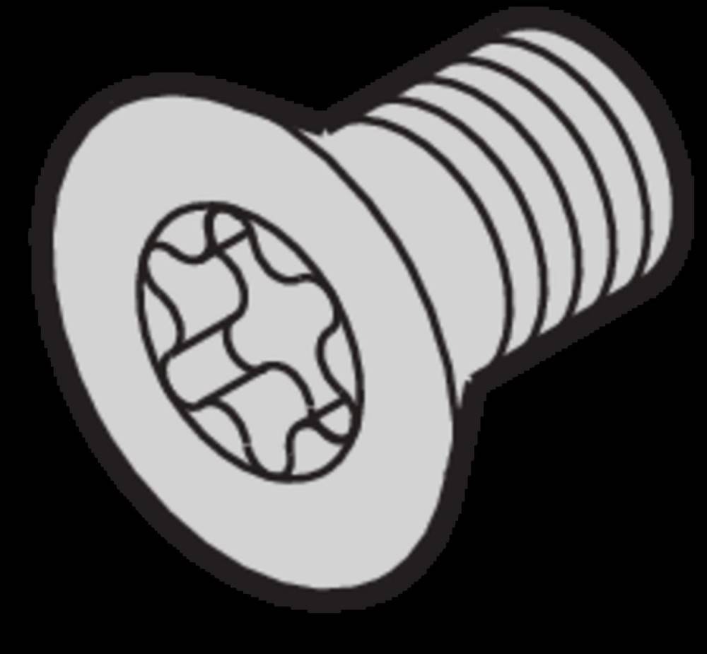 Schroff Senkschraube 24560183 (VE100)