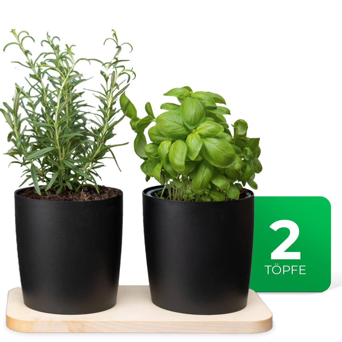 Novaliv Stilvolle Kräuterstation 2er Set mit Holzunterlage und 2 Kräutertöpfe für jede Fensterbank, Für frische Küchenkräuter, Kräutergarten f