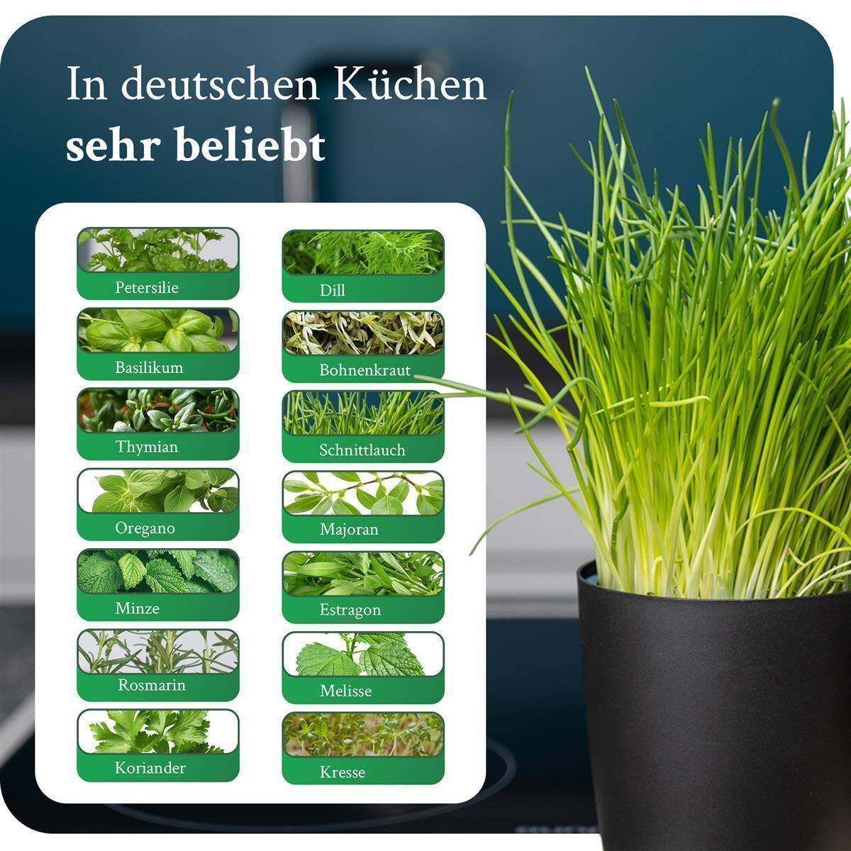 Novaliv Stilvolle 6er Set Kräutertopf mit Holzunterlage für jede Fensterbank, Für frische Küchenkräuter, Kräutergarten für die küche, Kräuter