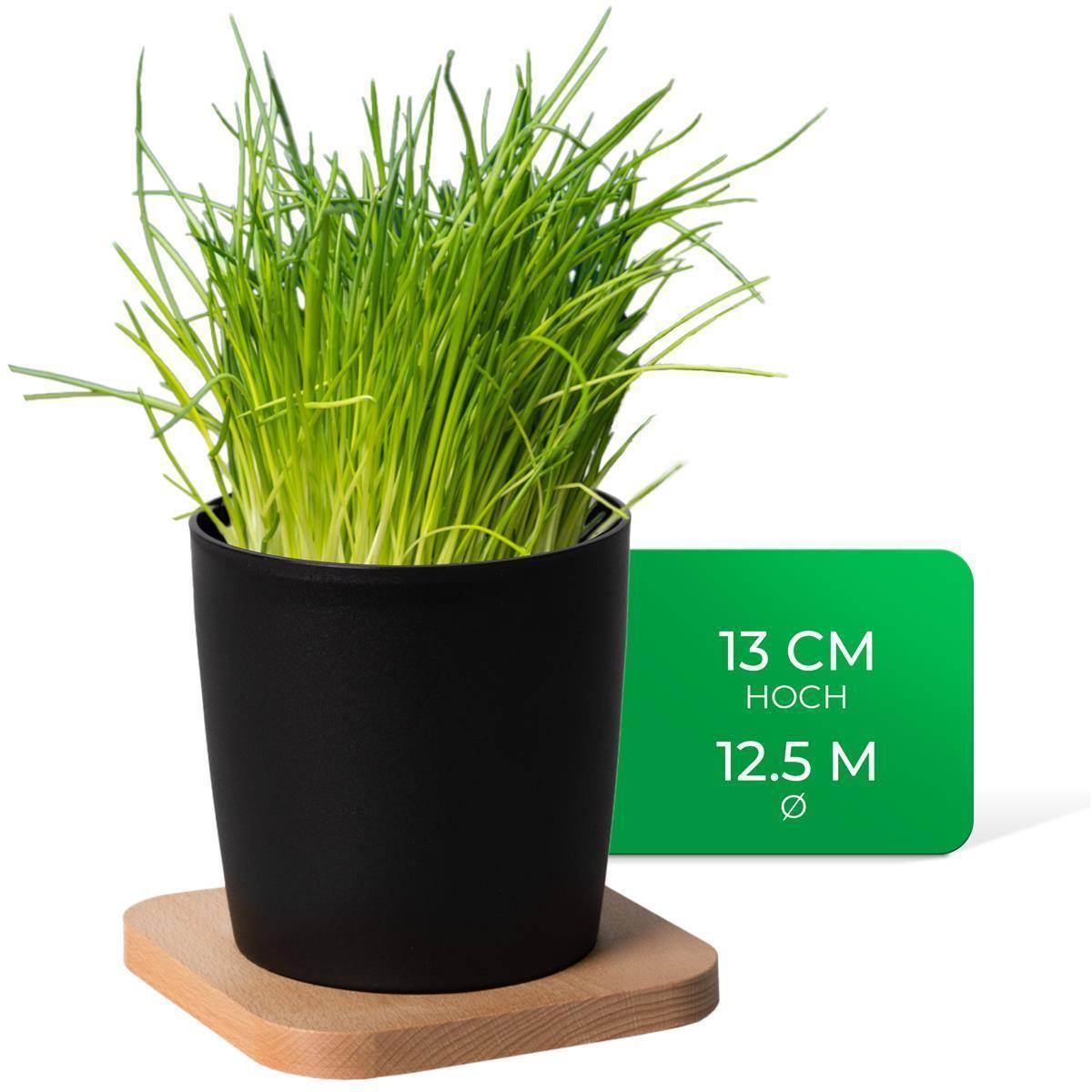 Novaliv Stilvolle 3er Set Kräutertopf mit Holzunterlage für jede Fensterbank, Für frische Küchenkräuter, Kräutergarten für die küche, Kräuter