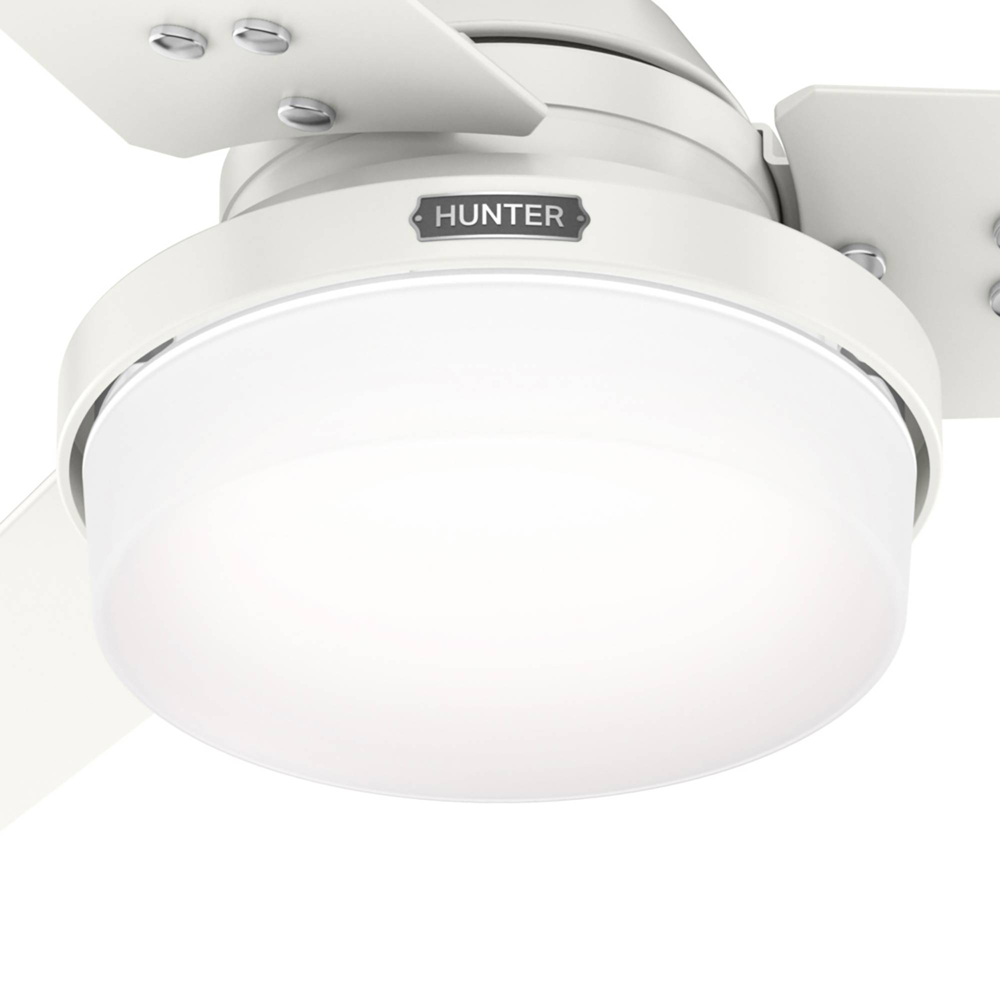 Deckenventilator Sentinel Plus mit Licht & Wandschalter