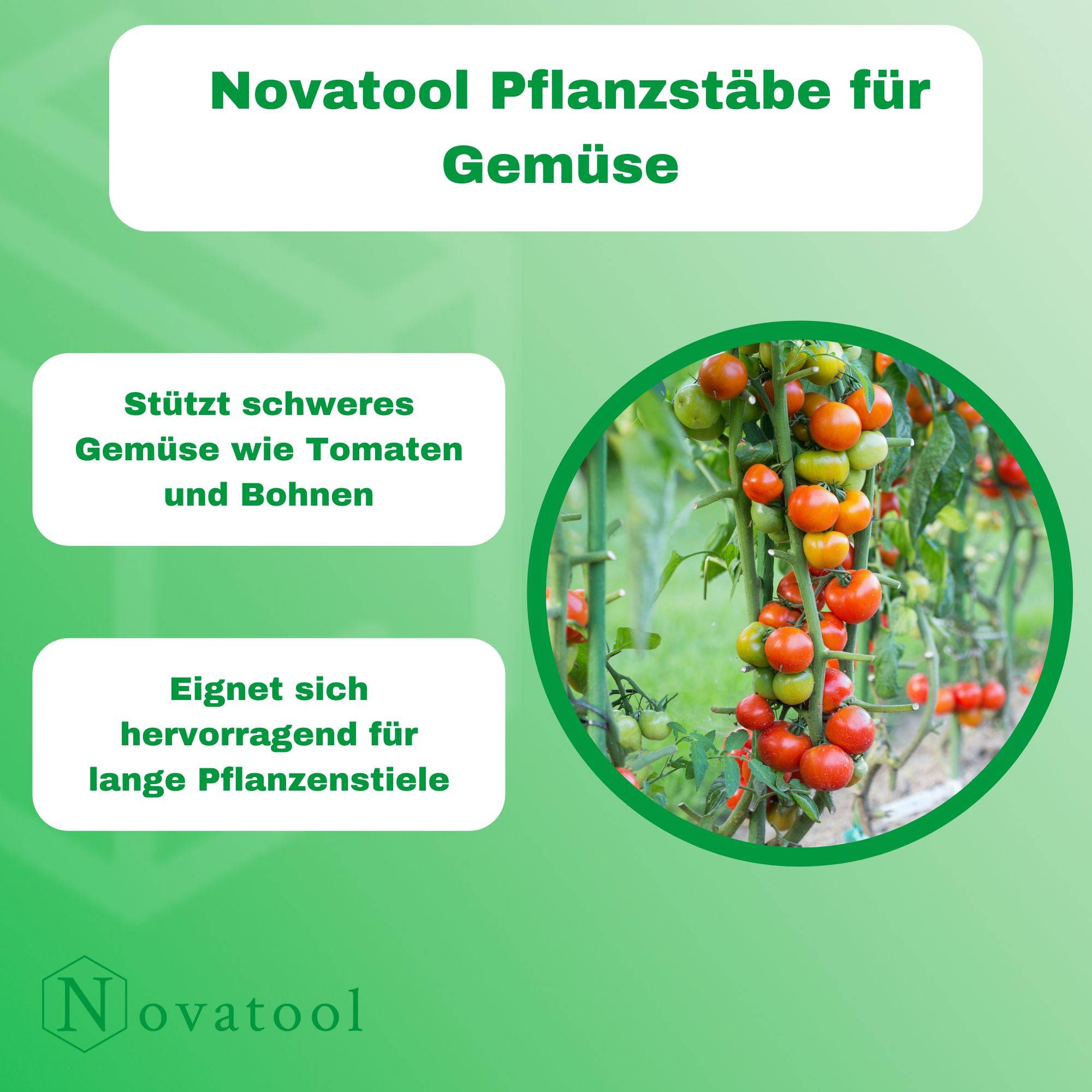 Novatool 50 Pflanzstäbe 150 cm grün 11mm Durchmesser Rankstäbe aus kunststoffummantelten Metall Rankhilfe Tomatenstäbe Blumenhalter