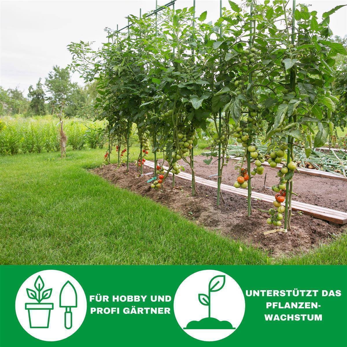 Novatool 50 Tomatenstäbe 150 cm 5 mm Durchmesser Tomatenspiralstäbe verzinkt Rankstäbe Tomatenstangen Rankhilfe Blumenhalter Pflanzstäbe