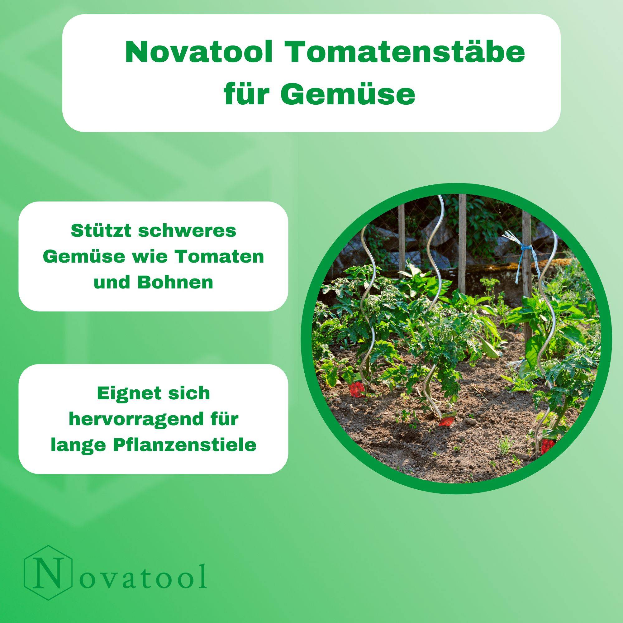 Novatool 50 Tomatenstäbe 110 cm 5 mm Durchmesser Tomatenspiralstäbe verzinkt Rankstäbe Tomatenstangen Rankhilfe Blumenhalter Pflanzstäbe