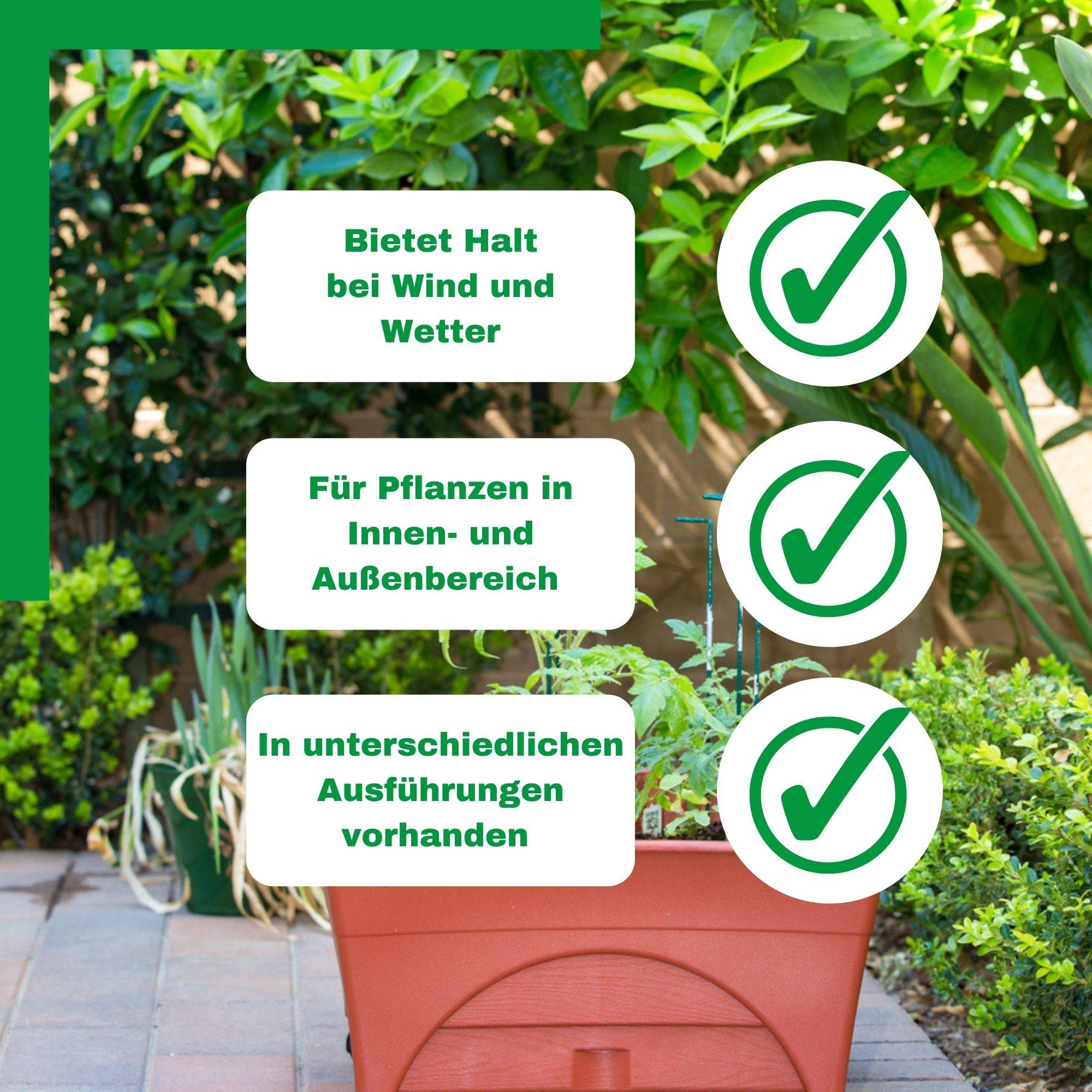 Novatool 10 Strauchstützen halbrund grün 100x40x16 cm 5,5mm Ø Staudenhalter Blumenhalter Rankengewächs Buschstütze Pflanzenstütze Blumenstütze