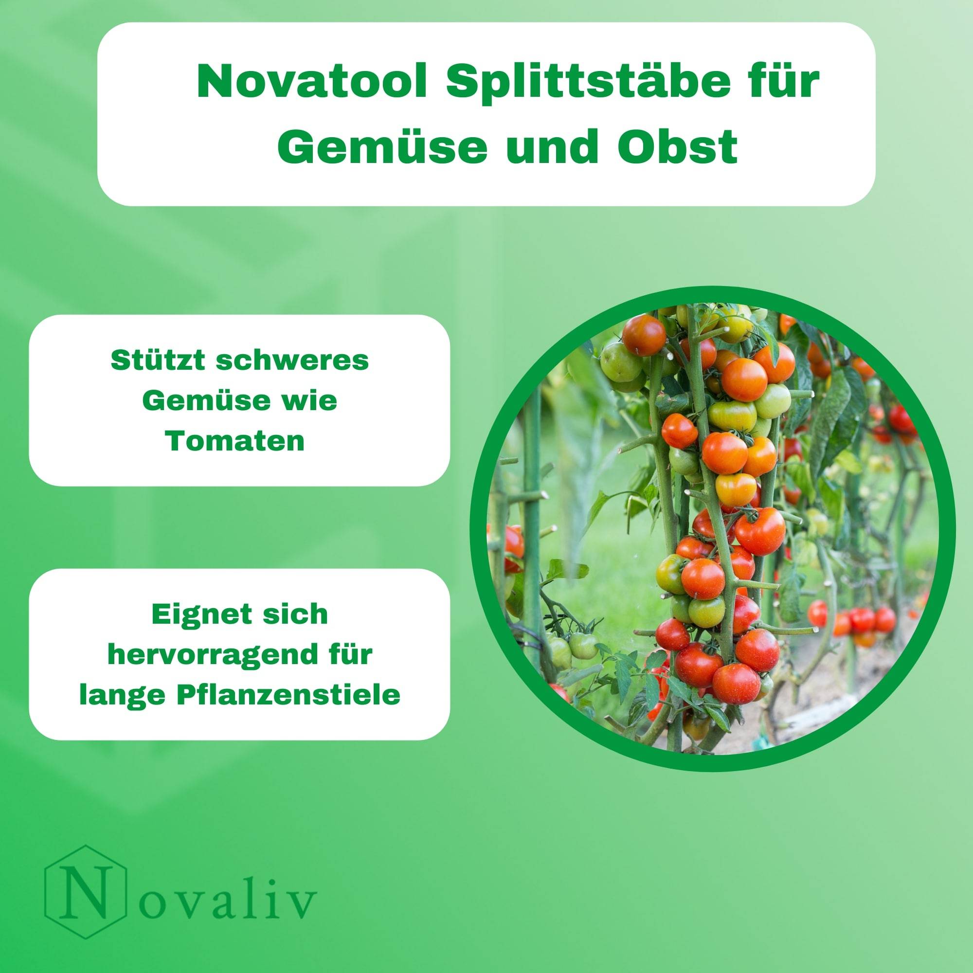 Novatool 300x Splittstäbe 70 cm x 6 mm I natur I Pflanzstäbe Rankhilfe Bambus Stab Bambusstäbe Bambusstange Pflanzen Stütze Holzstab plant stakes