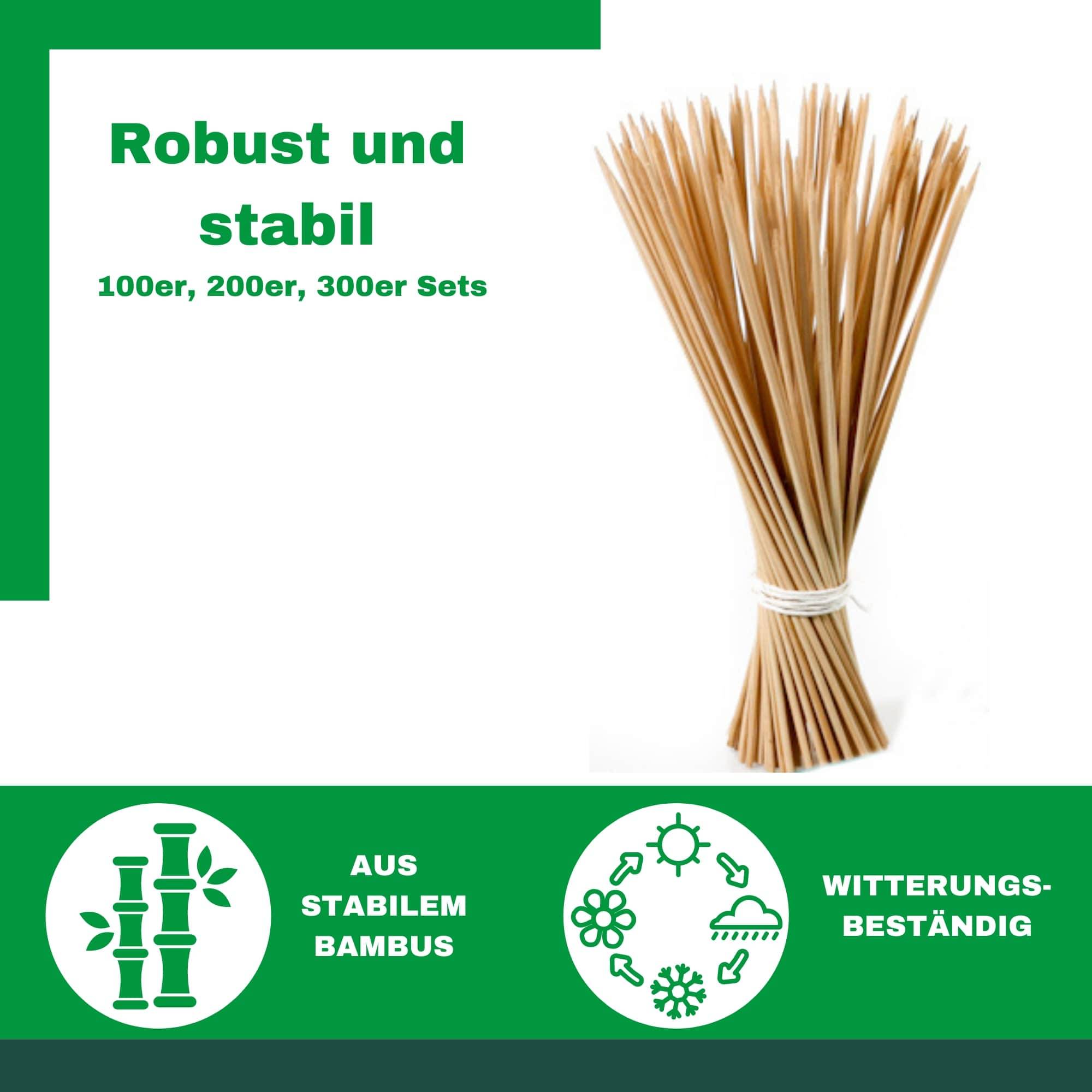 Novatool 100x Splittstäbe 60 cm x 5,5 mm I natur I Pflanzstäbe Rankhilfe Bambus Stab Bambusstäbe Bambusstange Pflanzen Stütze Holzstab plant stake