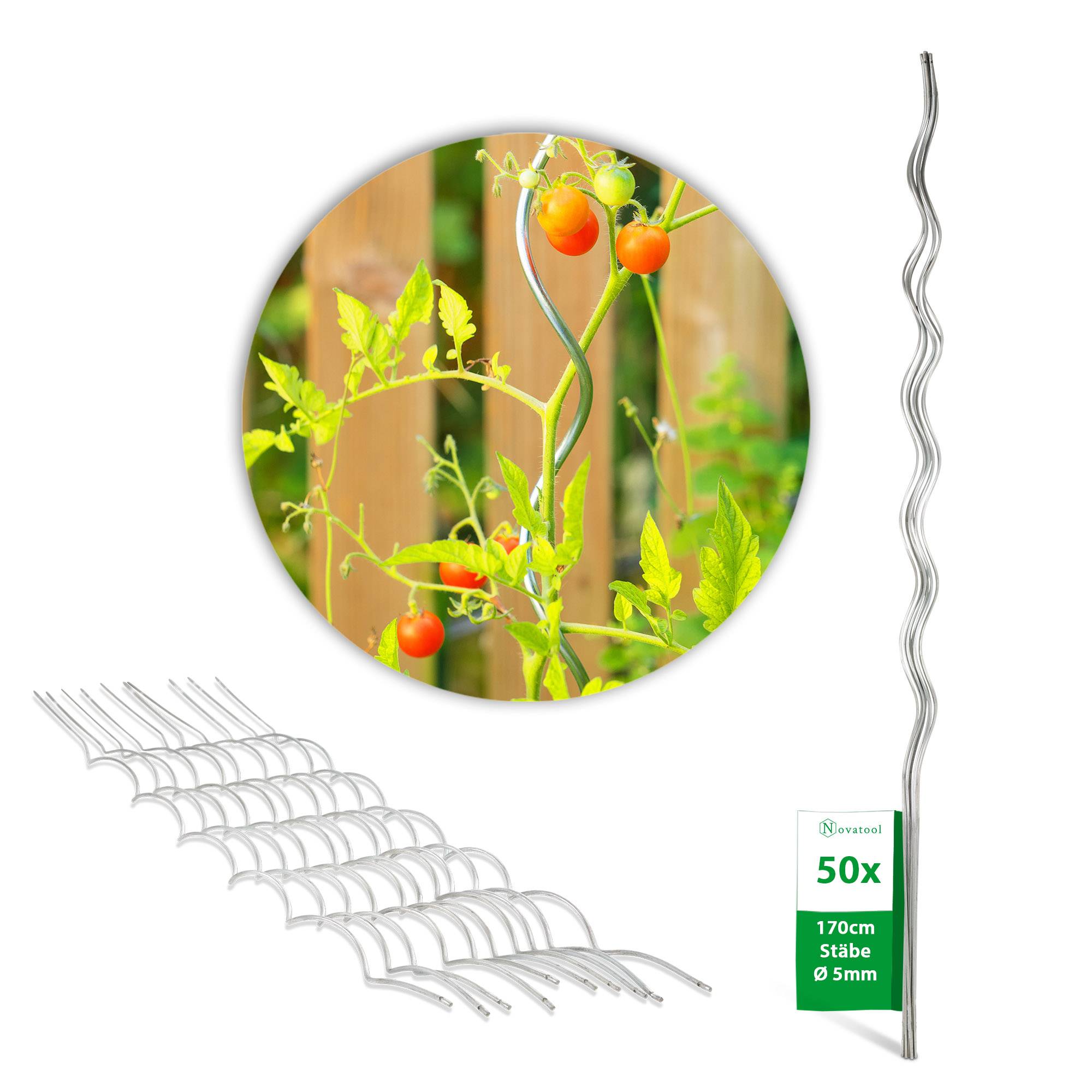 Novatool 20 Tomatenstäbe 170 cm 5 mm Durchmesser Tomatenspiralstäbe verzinkt Rankstäbe Tomatenstangen Rankhilfe Blumenhalter Pflanzstäbe