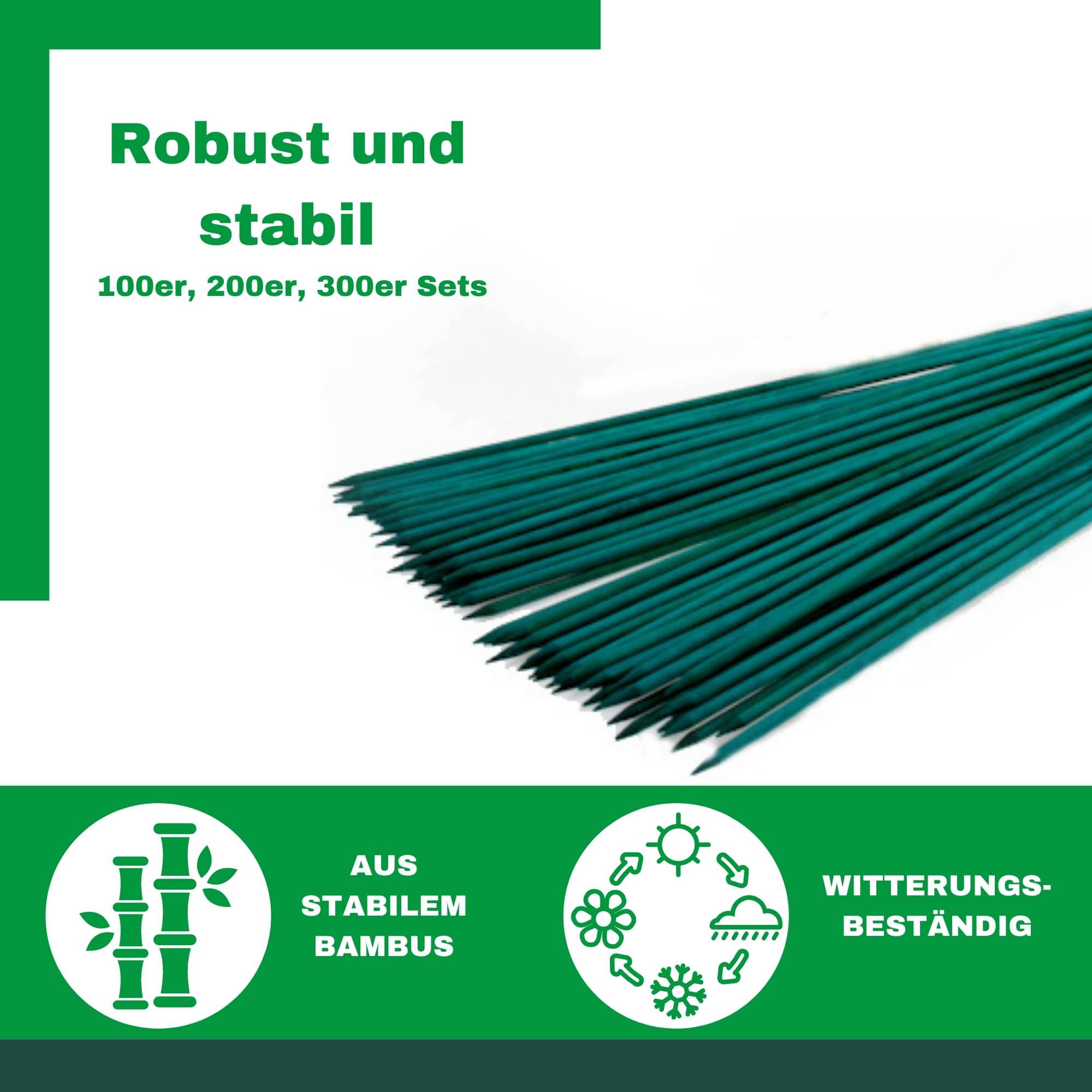 Novatool 100x Splittstäbe 60 cm x 5,5 mm I Grün I Pflanzstäbe Rankhilfe Bambus Stab Bambusstäbe Bambusstange Pflanzen Stütze Holzstab plant stake