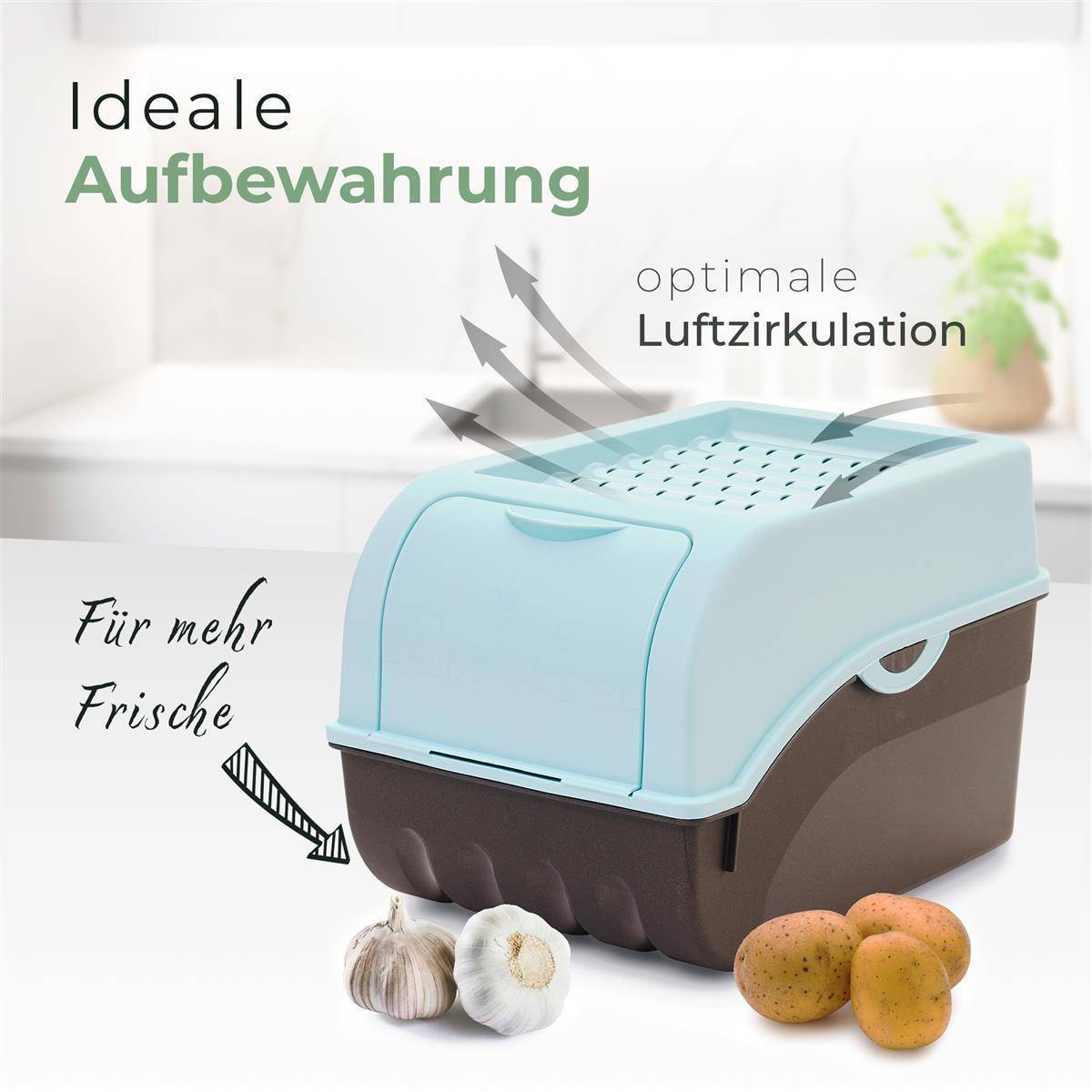 Novaliv 1x Mittel 5L Kartoffelbox türkis light Kartoffelkorb Gemüsebox vegetable basket onion potato storage