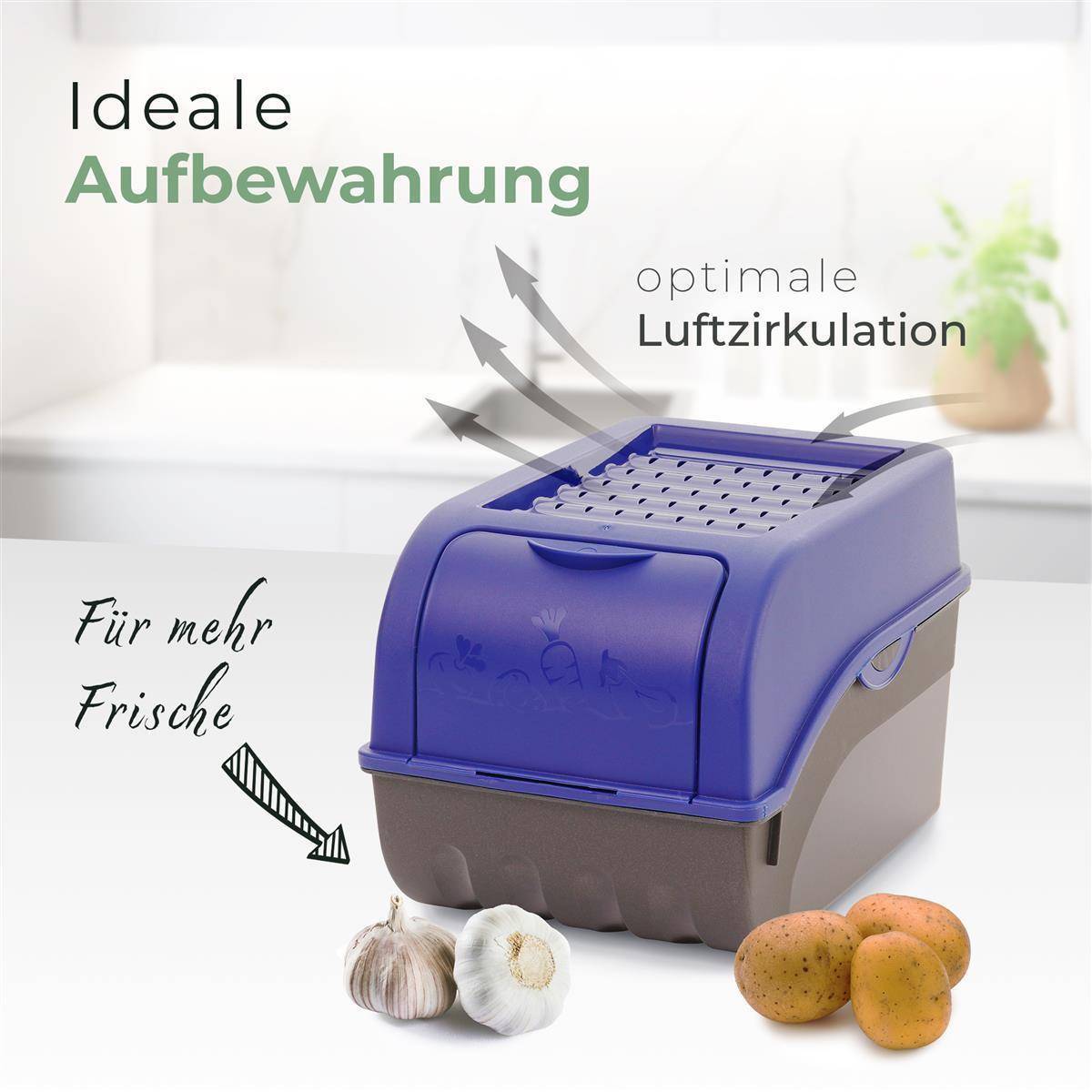 Novaliv Gemüsebox Set marineblau Kartoffel Aufbewahrungsbox Vorratsdoseset Zwiebeltopf Knoblauchbox Obsttopf