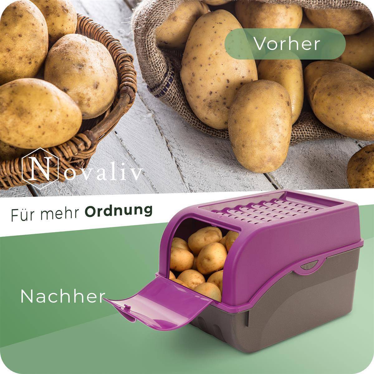 Novaliv Gemüseboxen Kartoffelboxen Vorratsbehälter 3,5l bis 9l (Lila, 1x 9l)