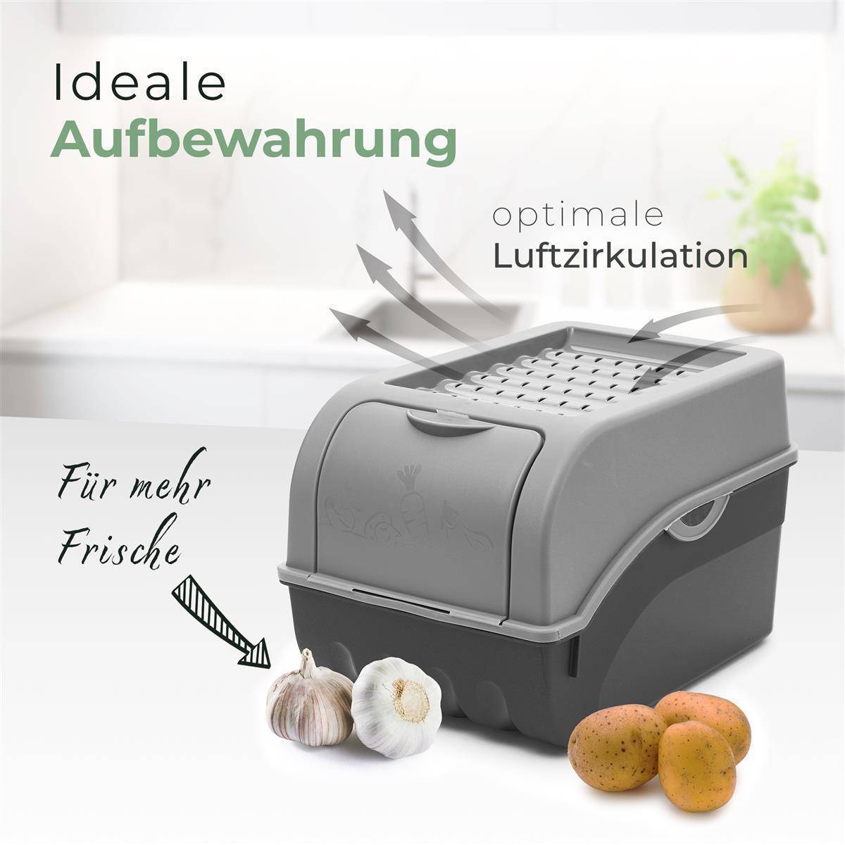 Novaliv Gemüseboxen Kartoffelboxen Vorratsbehälter 3,5l bis 9l (Grau, 1x 9l)