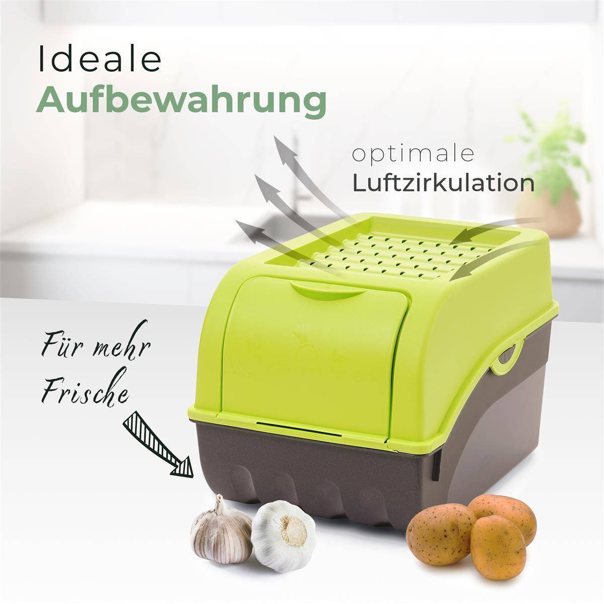 Novaliv 1x Klein 3,5 L Vorratsbehälter grün Aufbewahrungsbox Küche Zwiebelbehälter Knoblauchbehälter