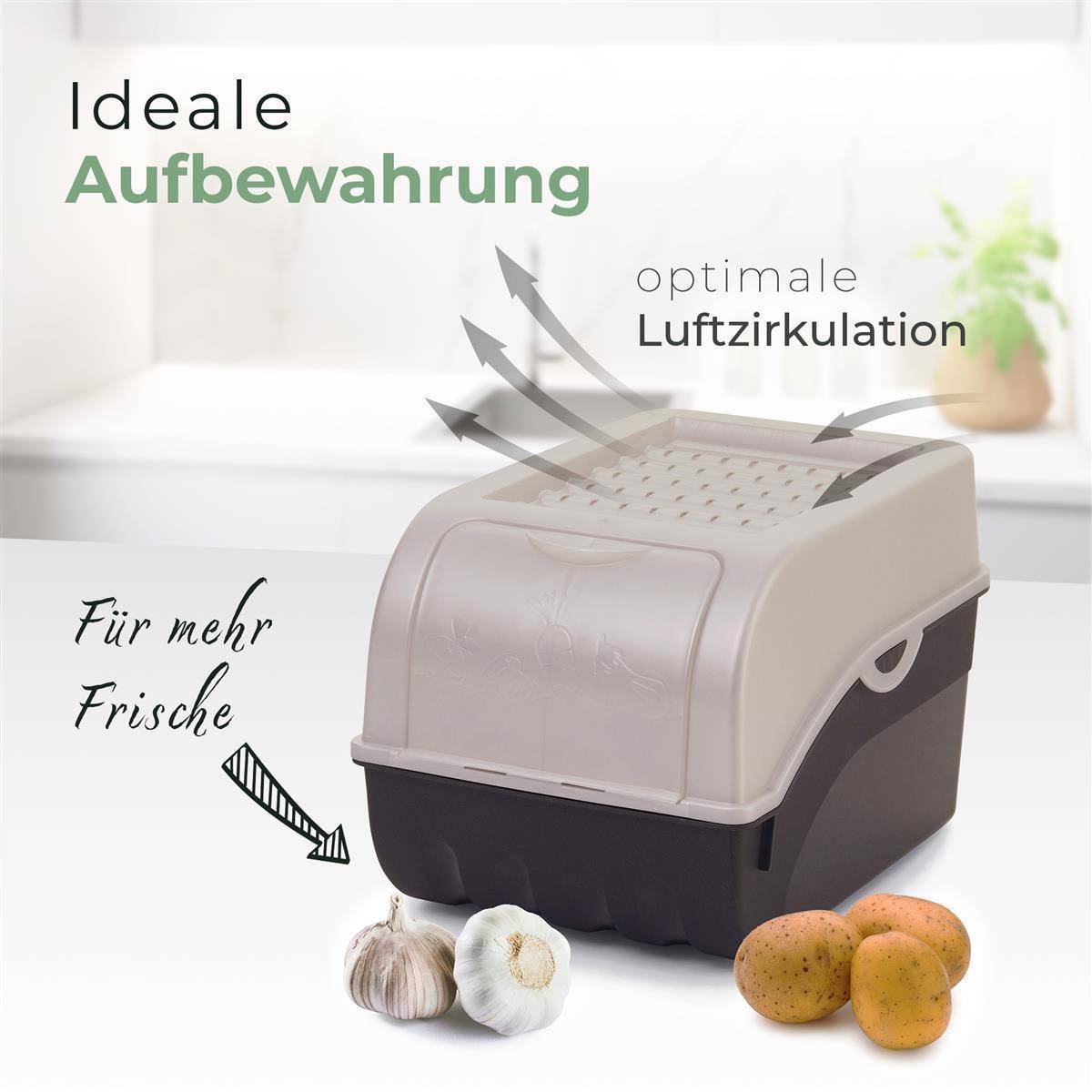 Novaliv 1x Klein 3,5 L Vorratsbehälter perlmut Aufbewahrungsbox Küche Zwiebelbehälter Knoblauchbehälter