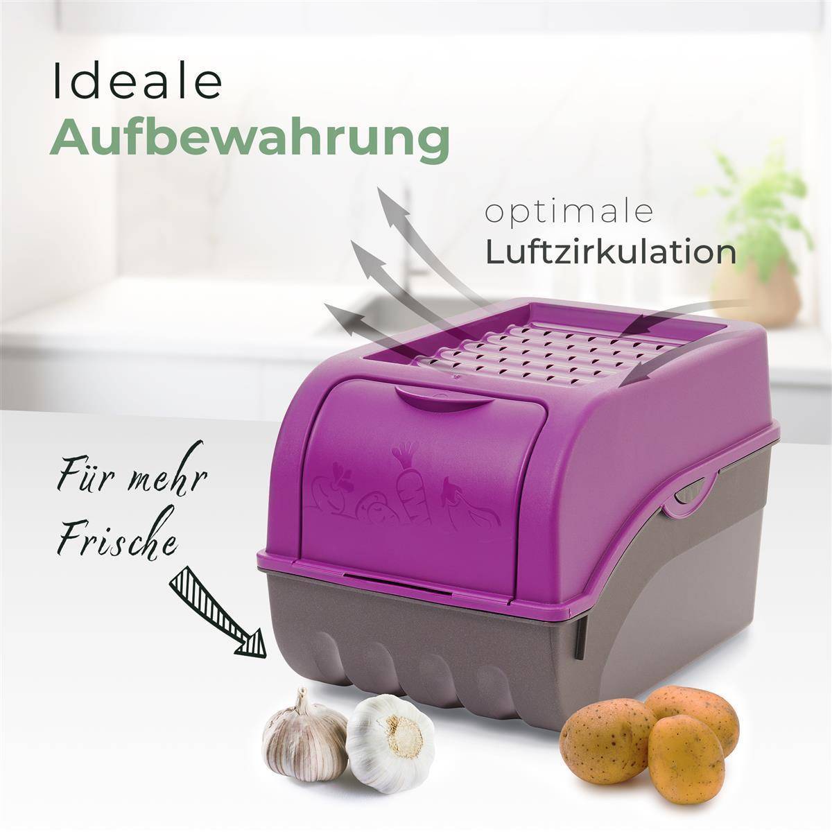 Novaliv Gemüseboxen Kartoffelboxen Vorratsbehälter 3,5l bis 9l (Lila, 1x Set 3,5l+5l+9l)