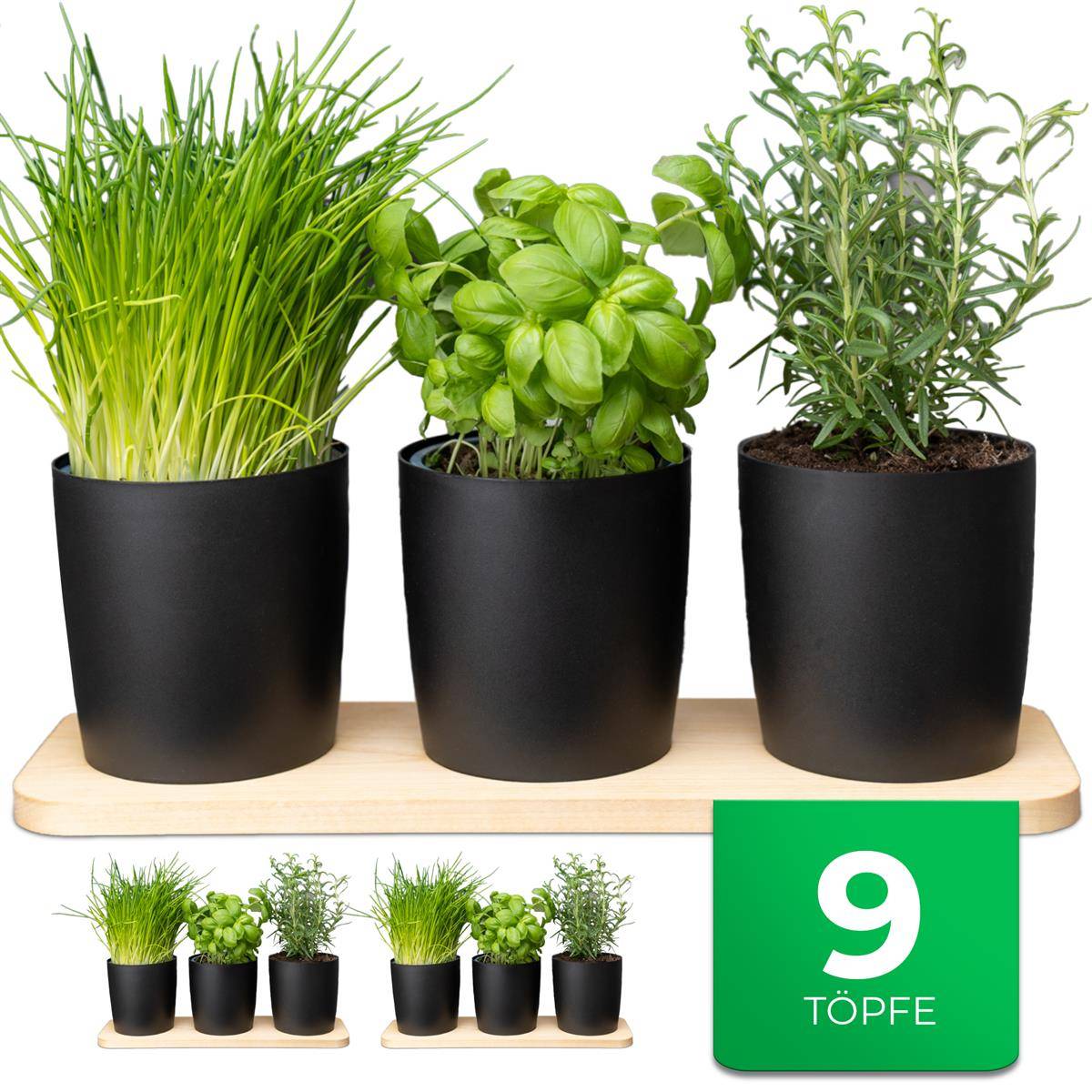 Novaliv Stilvolle Kräuterstation 9er Set mit Holzunterlage - Kräutertopf für jede Fensterbank, Für frische Küchenkräuter, Kräutergarten für di