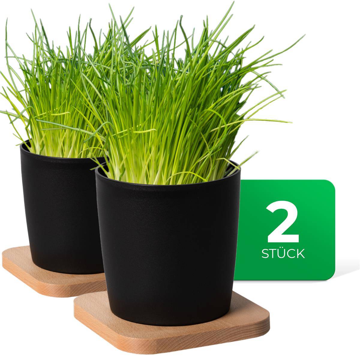 Novaliv Stilvolle 2er Set Kräutertopf mit Holzunterlage für jede Fensterbank, Für frische Küchenkräuter, Kräutergarten für die küche, Kräuter