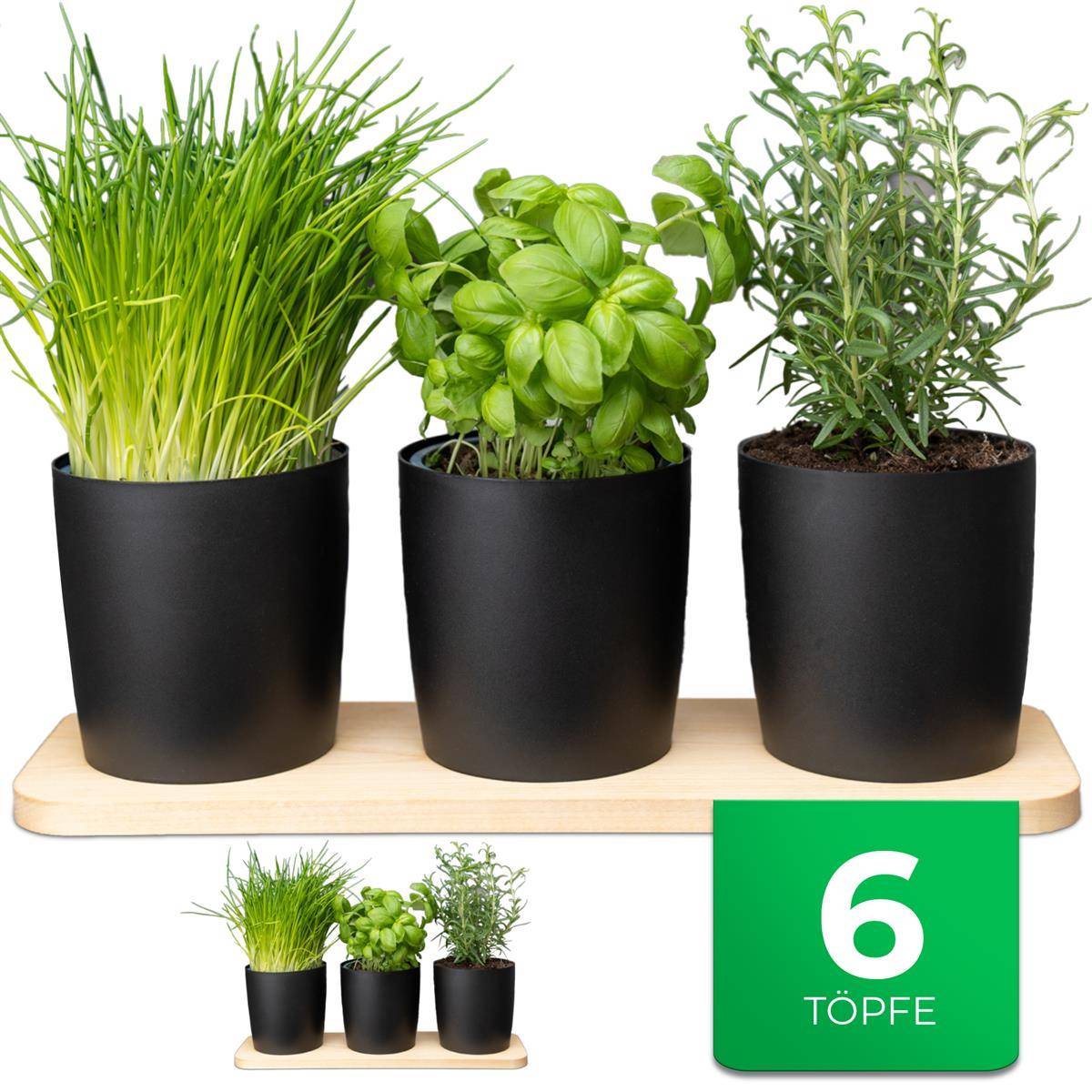 Novaliv Stilvolle Kräuterstation 6er Set mit Holzunterlage - Kräutertopf für jede Fensterbank, Für frische Küchenkräuter, Kräutergarten für di