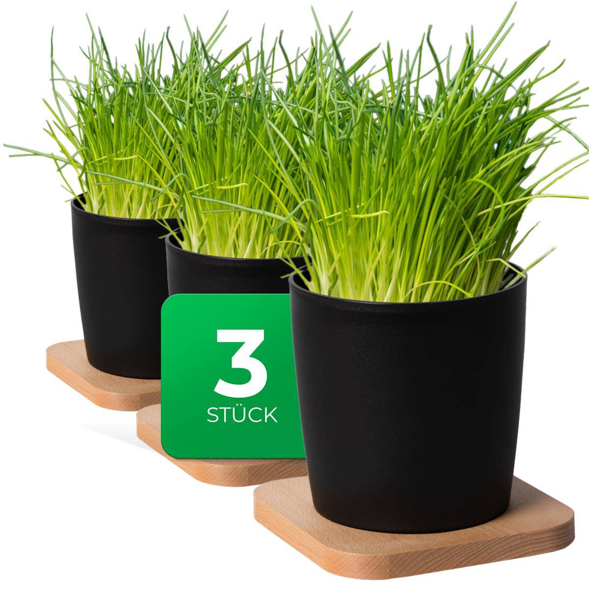 Novaliv Stilvolle 3er Set Kräutertopf mit Holzunterlage für jede Fensterbank, Für frische Küchenkräuter, Kräutergarten für die küche, Kräuter