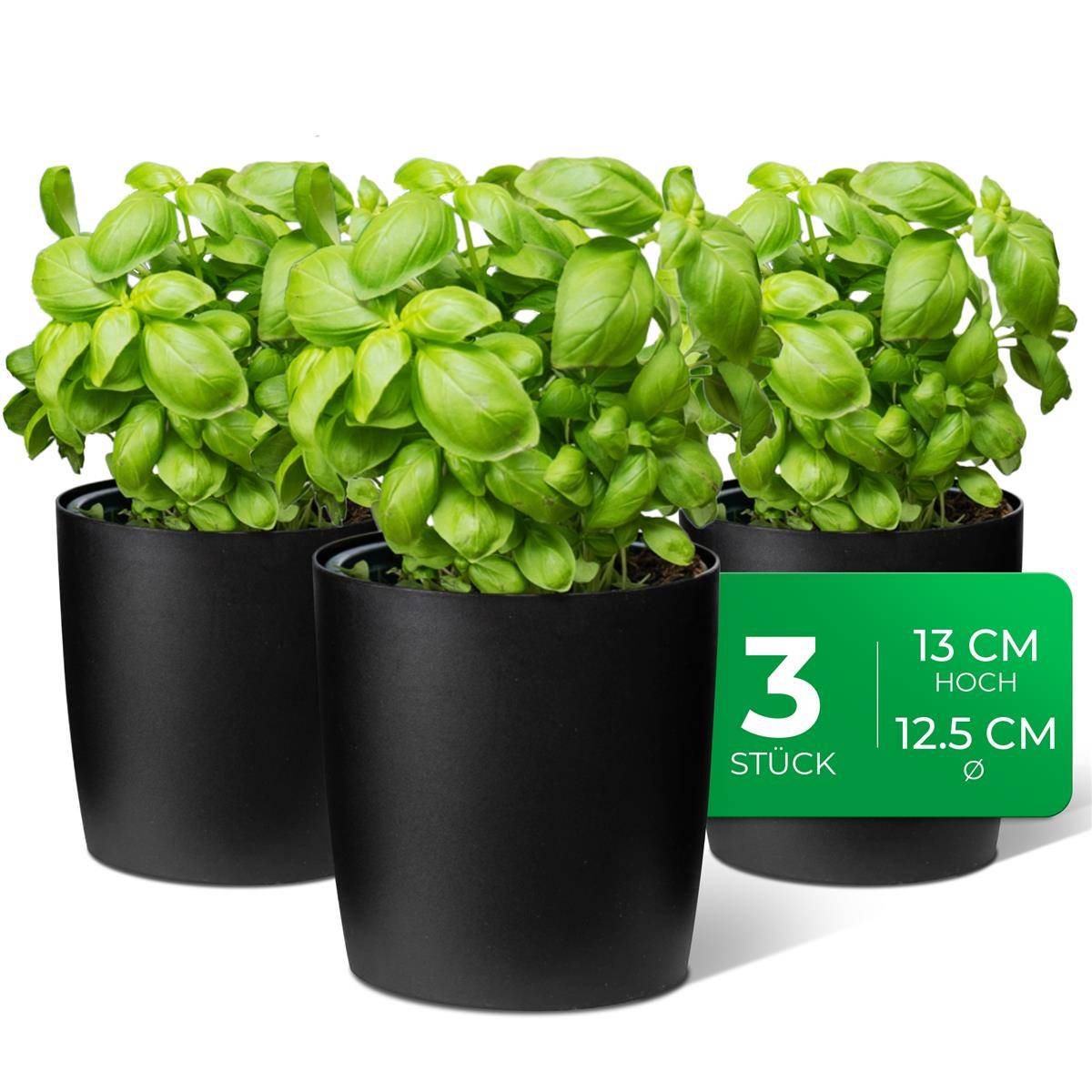 Novaliv Stilvolle 3er Set Kräutertopf aus Kunststoff Schwarz für jede Fensterbank, frische Küchenkräuter, Kräutergarten für die küche, Kräuter