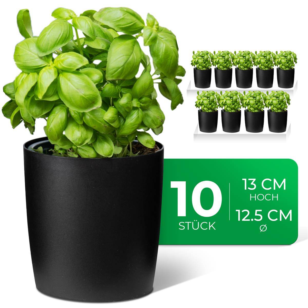Novaliv Stilvolle 10er Set Kräutertopf aus Kunststoff Schwarz für jede Fensterbank, frische Küchenkräuter, Kräutergarten für die küche, Kräute
