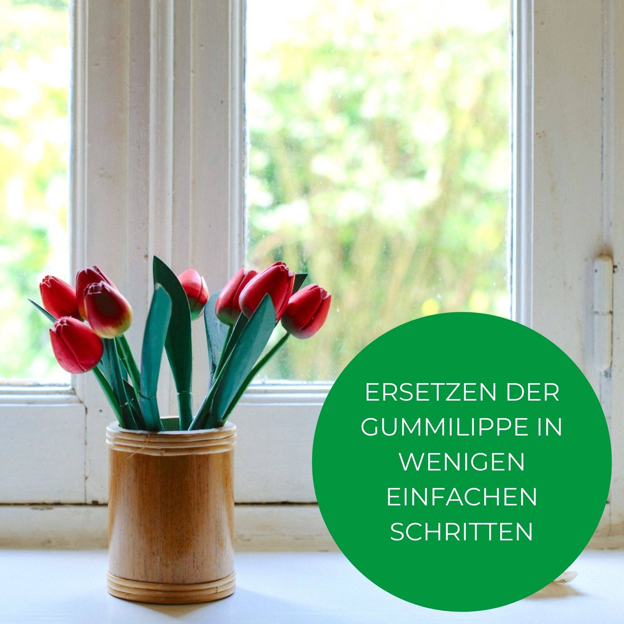 Novaliv Fensterabzieher Profi 25 cm + 2x Ersatzgummi für Fensterreiniger Edelstahl mit auswechselbaren Gummilippe Fensterlippe Fensterreinigung