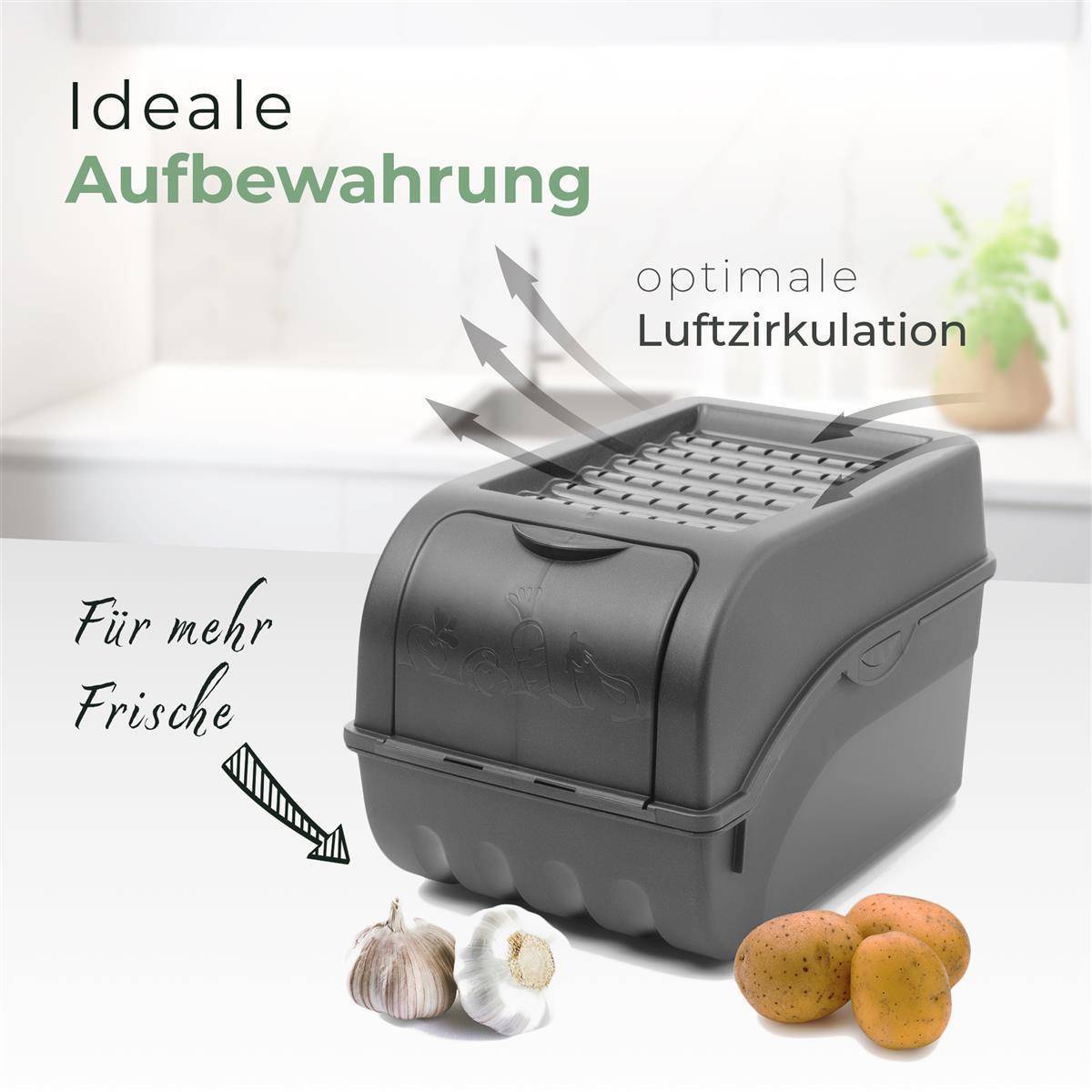 Novaliv Gemüseboxen Kartoffelboxen Vorratsbehälter 3,5l bis 9l (Anthrazit, 1x 3,5l)