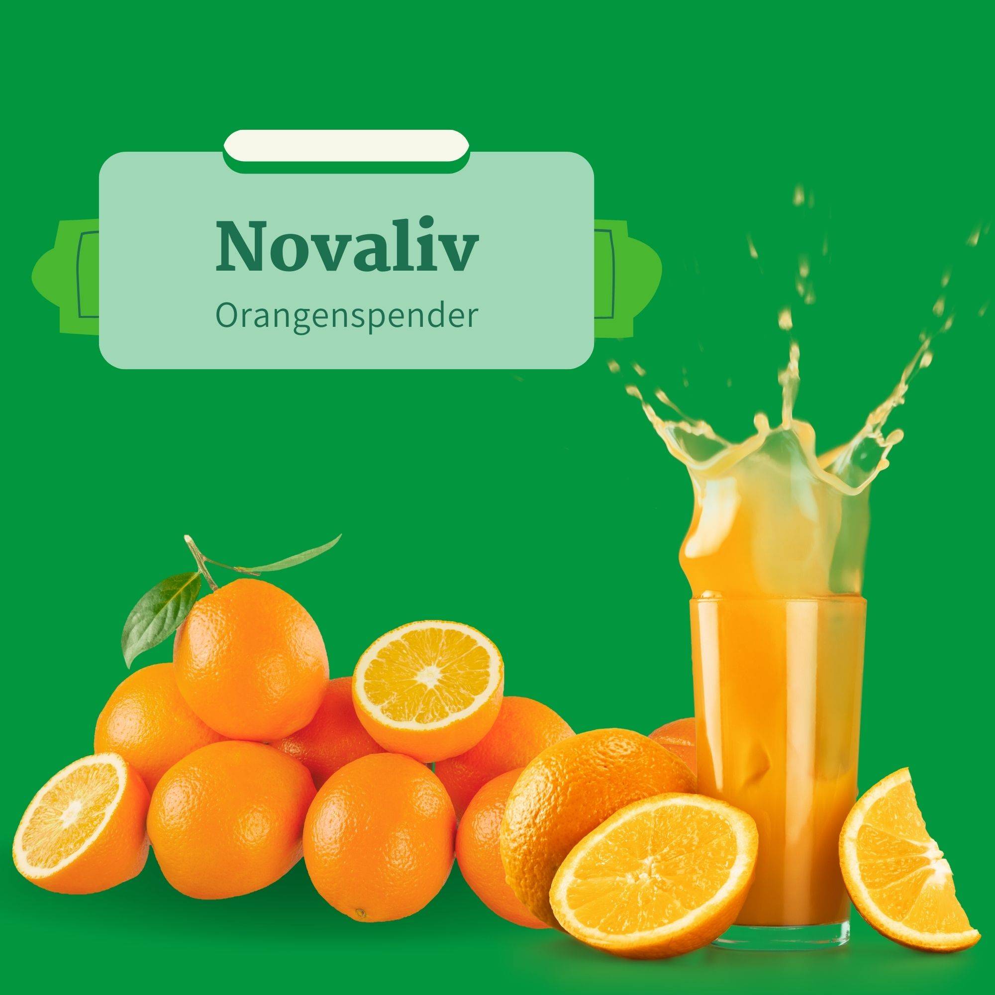 Novaliv 3 Stück praktischer Orangenhalter 9x44x32cm aus Stahl SILBER stilvoll und robust perfekte Alternative für Obstschale Obstspender Obsthalter