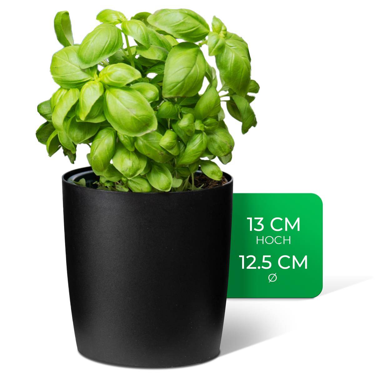 Novaliv Stilvolle Kräutertopf aus Kunststoff Schwarz für jede Fensterbank, Für frische Küchenkräuter, Kräutergarten für die küche, Kräuterbee