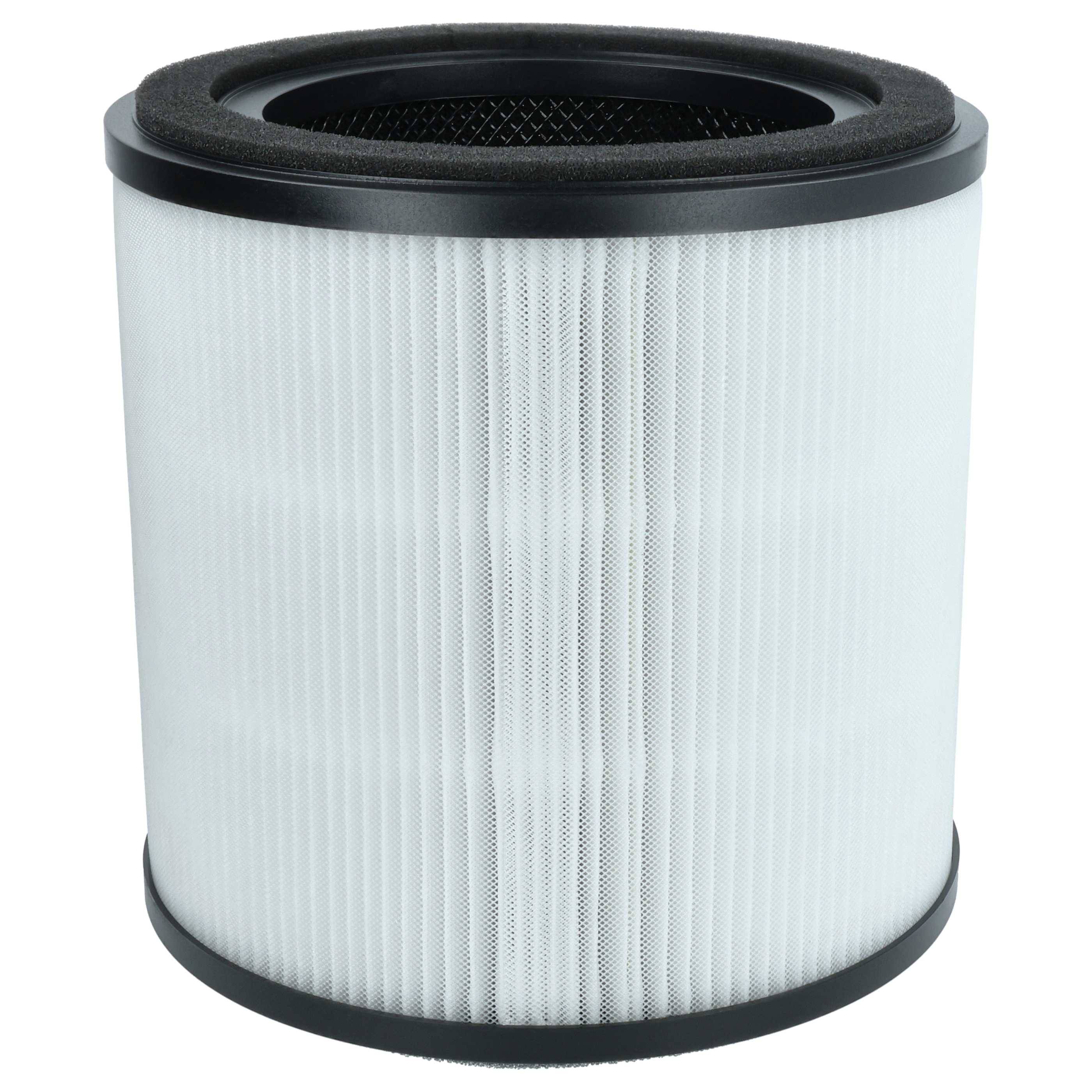 vhbw H13 Filter Ersatz für AEG AFFBRZ2 | AFFCAR2 für Luftreiniger - Ersatz-Filter