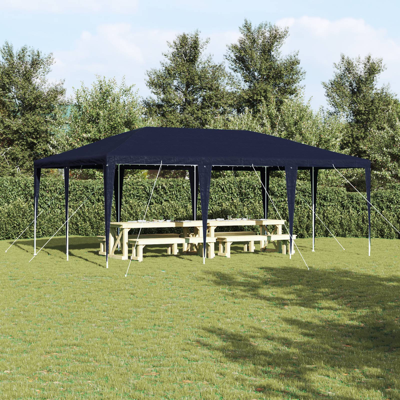 vidaXL Party-Zelt Blau 6x4 m PE