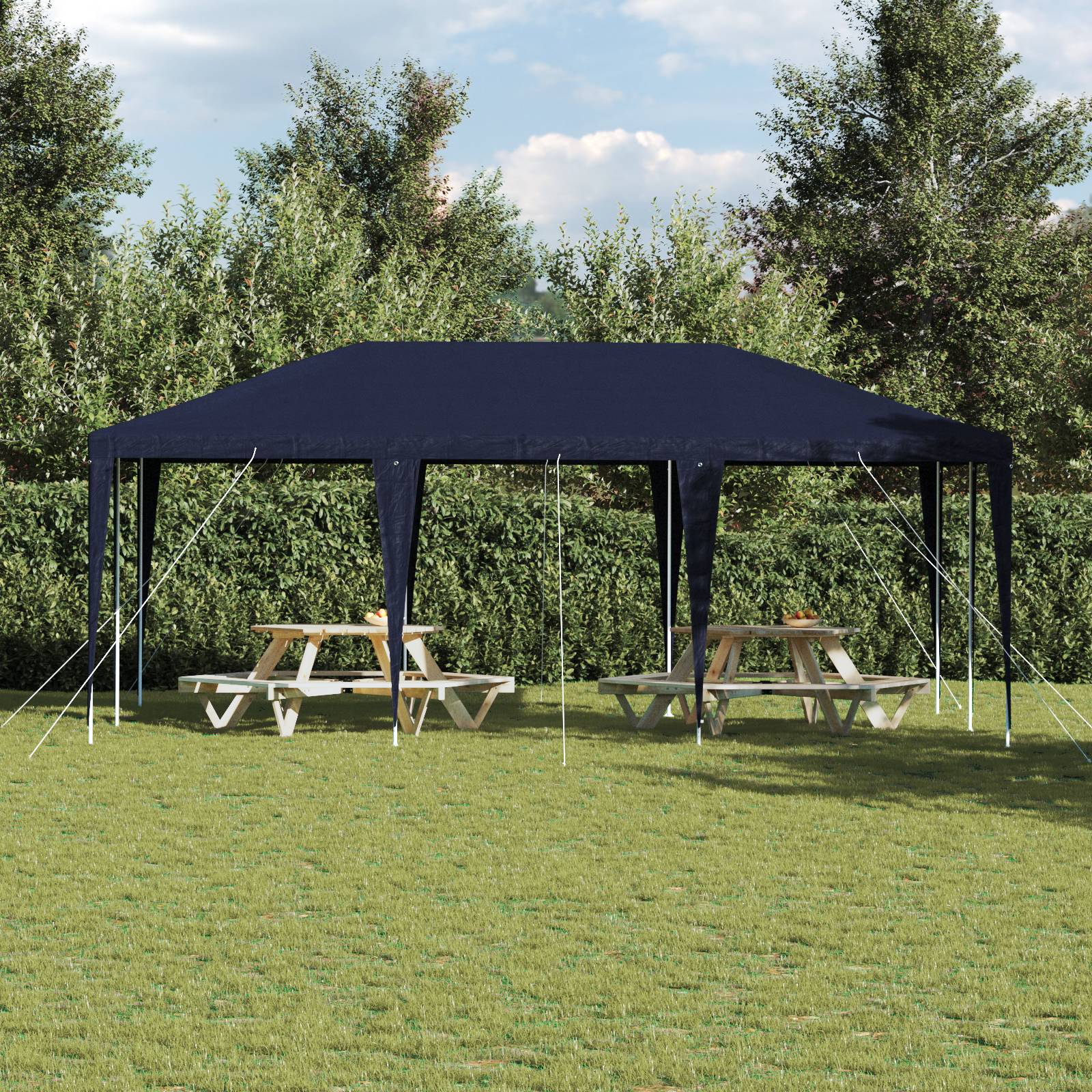 vidaXL Party-Zelt Blau 6x4 m PE