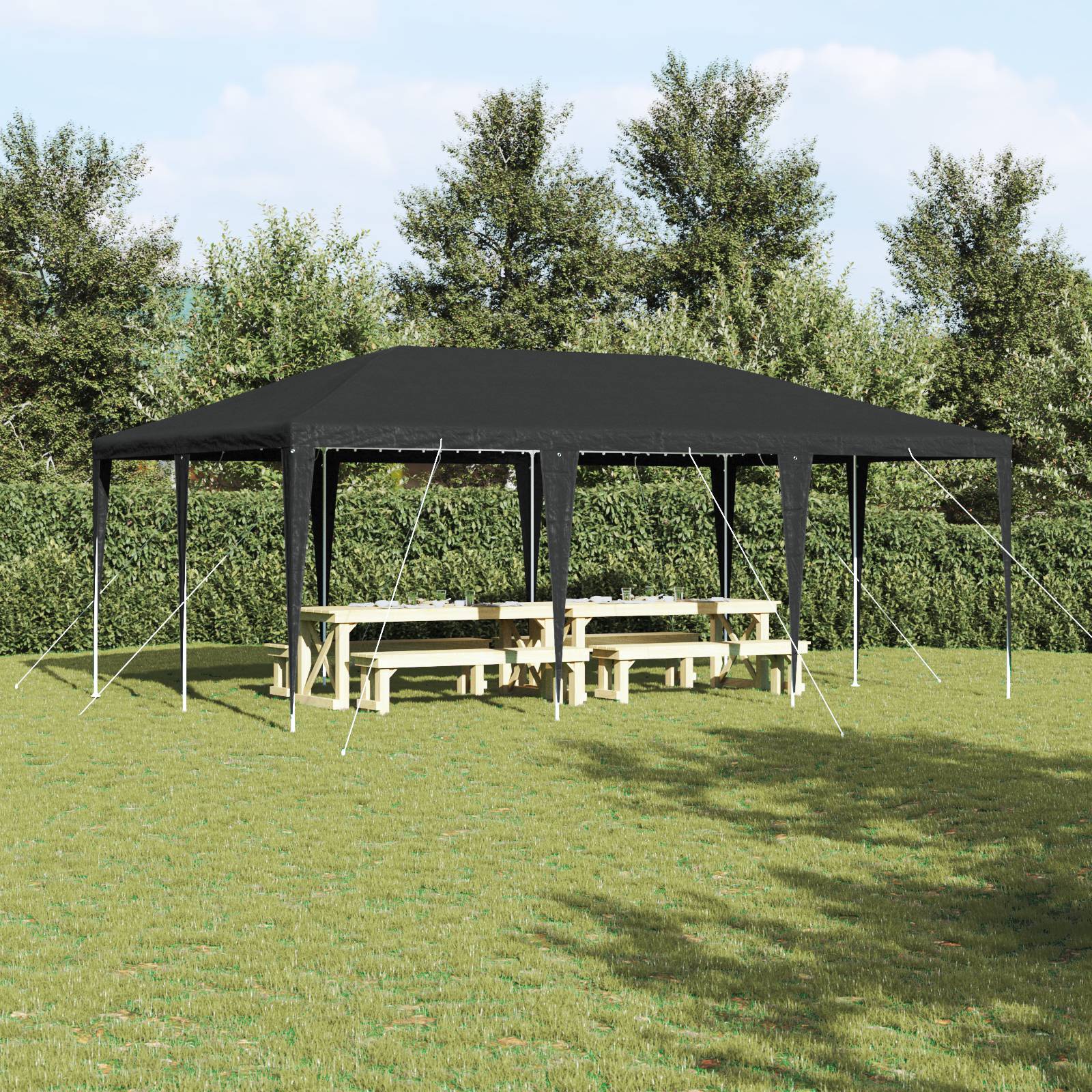 vidaXL Party Zelt Anthrazit 6x4 m PE